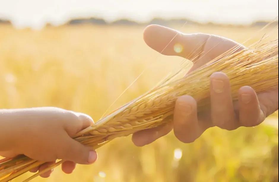 派克漢尼汾加入國(guó)際氫能委員會(huì) 助力加快推進(jìn)清潔能源解決方案部署